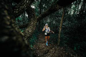 BIB: 
                            <button type="button" onclick="openModal(25684235)" class="btn btn-primary btn-sm float-right btn-popup" data-toggle="modal" data-target=".modal-high-quality">
                        <i class="fas fa-shopping-cart"></i> Add to Cart
                    </button>
                                            <button type="button" onclick="isThisMe(25684235, true)" class="btn btn-success btn-sm float-right btn-popup btn-isme hidden" data-toggle="tooltip" data-placement="bottom" title="นี่คือรูปของคุณใช่ไหม คลิกที่นี่เพื่อเอาเข้าอัลบั้ม">
                        <i class="fas fa-plus"></i> Add to album
                    </button>
                    <button type="button" onclick="isThisMe(25684235, false)" class="btn btn-warning btn-sm float-right btn-popup btn-isnotme hidden">
                        <i class="fas fa-ban"></i> Remove from album
                    </button>